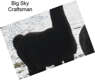 Big Sky Craftsman