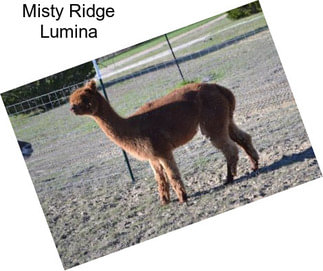 Misty Ridge Lumina