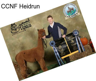 CCNF Heidrun