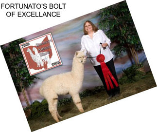 FORTUNATO\'S BOLT OF EXCELLANCE