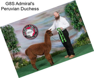 G8S Admiral\'s Peruvian Duchess