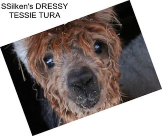 SSilken\'s DRESSY TESSIE TURA