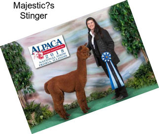 Majestic?s Stinger