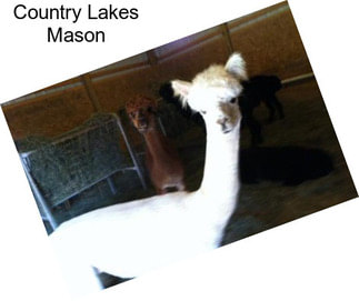 Country Lakes Mason