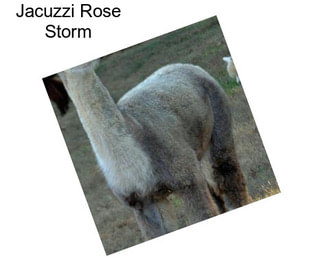 Jacuzzi Rose Storm