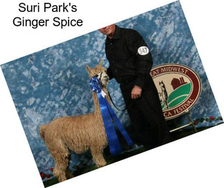 Suri Park\'s Ginger Spice