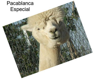 Pacablanca Especial