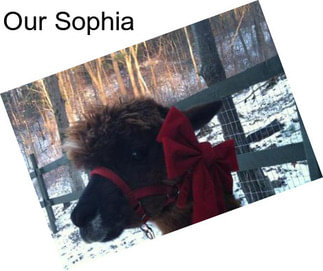 Our Sophia