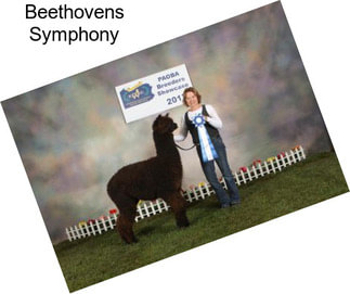 Beethovens Symphony