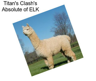 Titan\'s Clash\'s Absolute of ELK