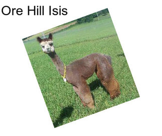 Ore Hill Isis