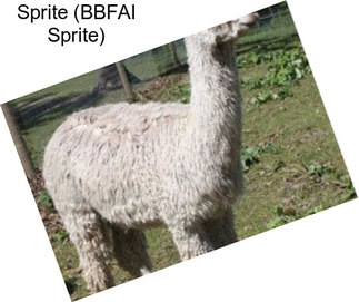 Sprite (BBFAI Sprite)