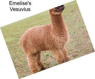 Emelise\'s Vesuvius