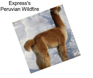 Express\'s Peruvian Wildfire