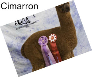 Cimarron