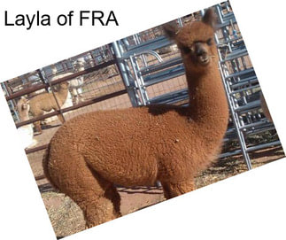 Layla of FRA