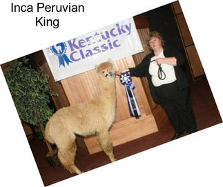 Inca Peruvian King