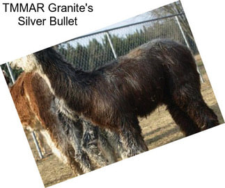 TMMAR Granite\'s Silver Bullet