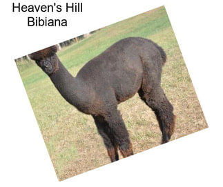 Heaven\'s Hill Bibiana