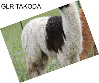 GLR TAKODA