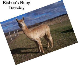 Bishop\'s Ruby Tuesday