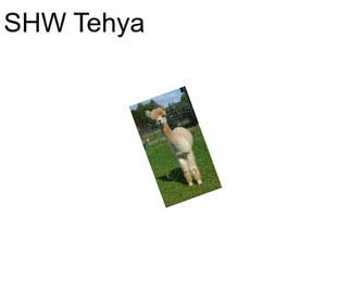 SHW Tehya