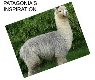 PATAGONIA\'S INSPIRATION