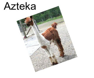 Azteka