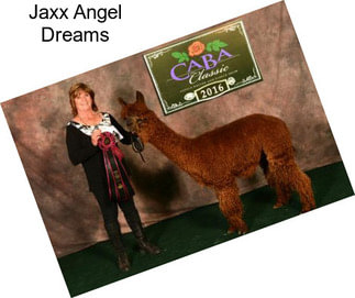 Jaxx Angel Dreams