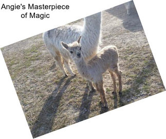 Angie\'s Masterpiece of Magic