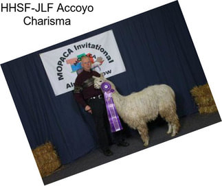 HHSF-JLF Accoyo Charisma