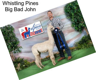 Whistling Pines Big Bad John