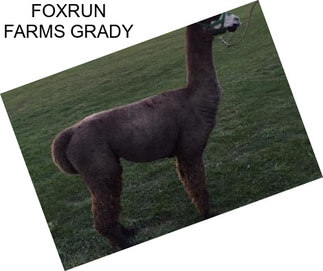 FOXRUN FARMS GRADY