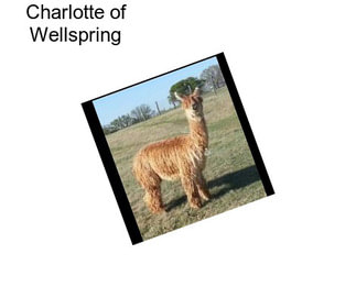 Charlotte of Wellspring