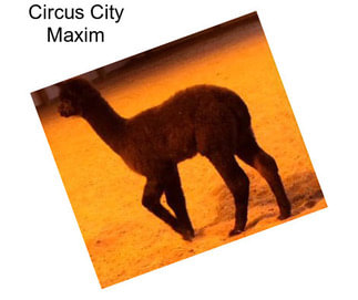 Circus City Maxim