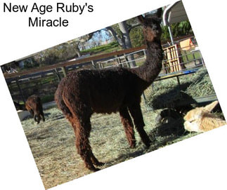 New Age Ruby\'s Miracle