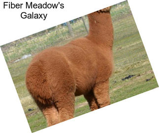 Fiber Meadow\'s Galaxy