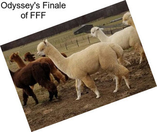 Odyssey\'s Finale of FFF