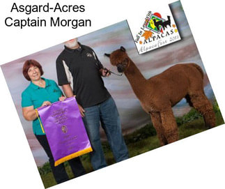 Asgard-Acres Captain Morgan