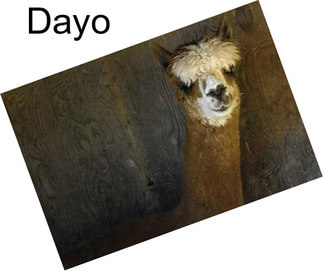 Dayo