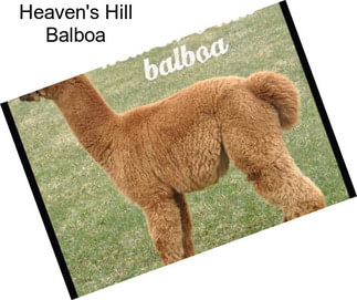 Heaven\'s Hill Balboa