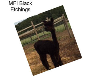 MFI Black Etchings