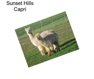 Sunset Hills Capri