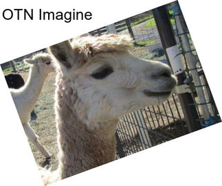 OTN Imagine