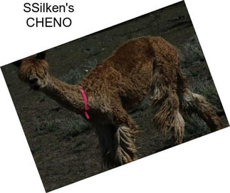 SSilken\'s CHENO