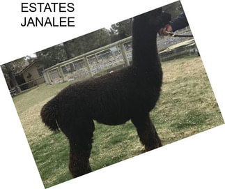 ESTATES JANALEE