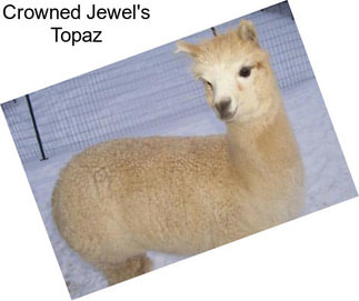 Crowned Jewel\'s Topaz