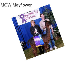 MGW Mayflower