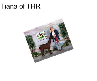 Tiana of THR