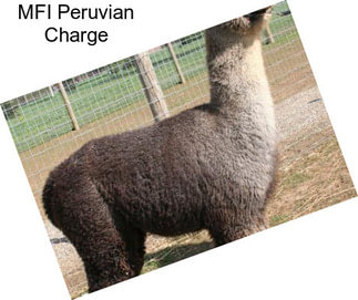 MFI Peruvian Charge